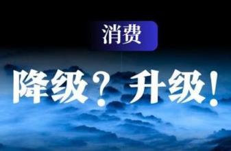 甲天下精品云霄烟选购攻略：品牌甄选与安全购买指南