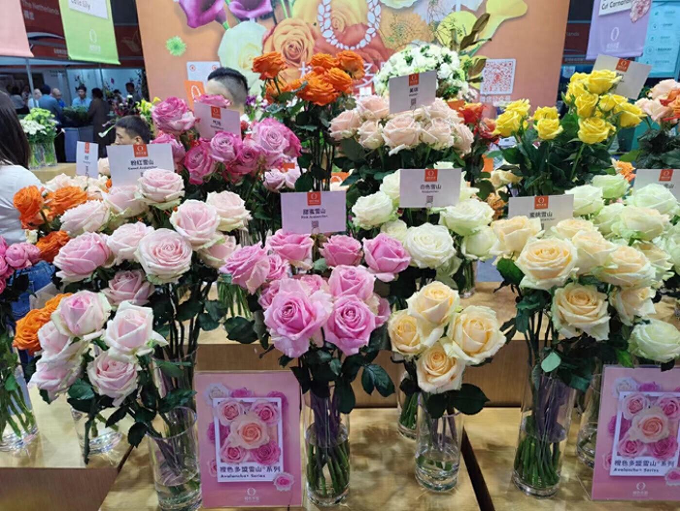 第二十二届中国昆明国际花卉展盛大开幕，彰显世界花园魅力
