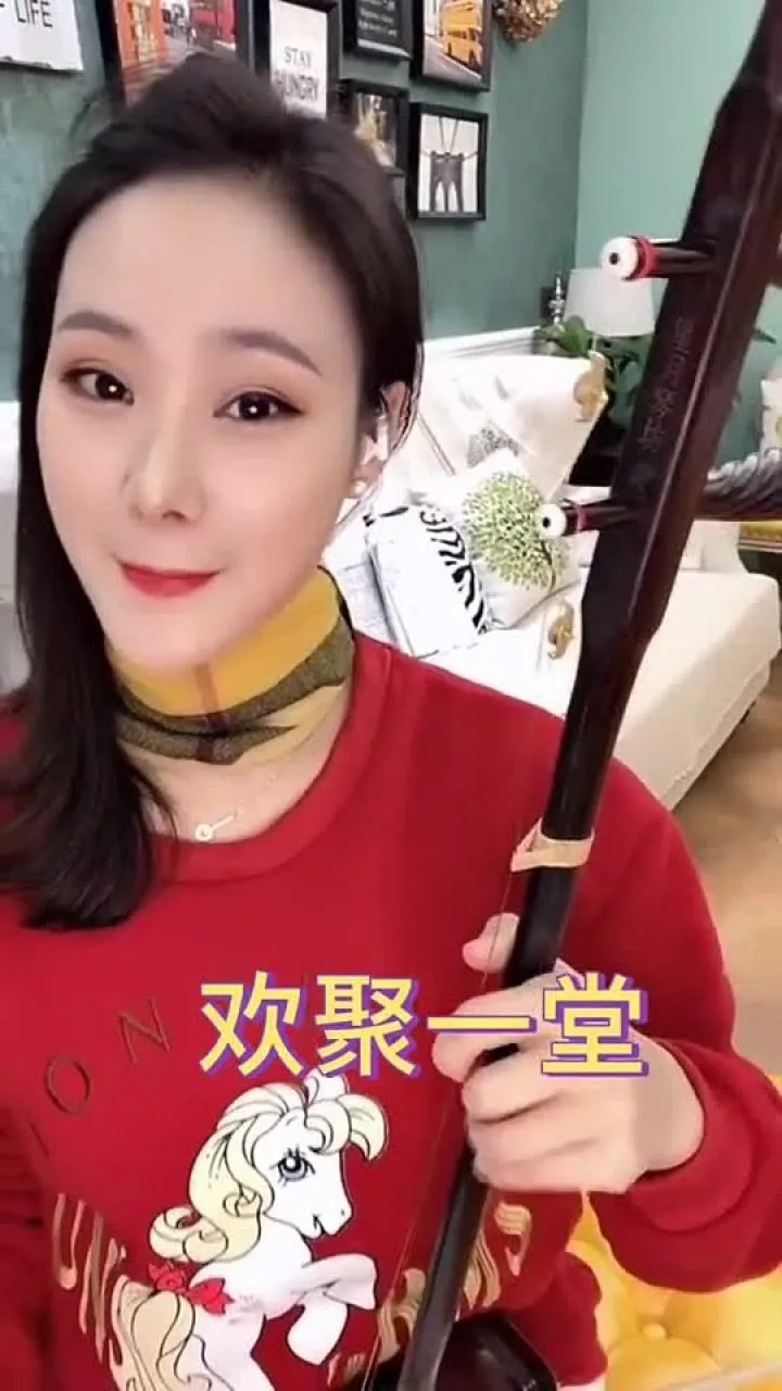 二胡曲一枝花：初学者如何深入理解并演奏好这首经典曲目