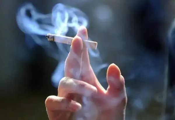 吸烟危害大揭秘：尼古丁、烟焦油等有害物质影响健康，全球近十亿人受其害