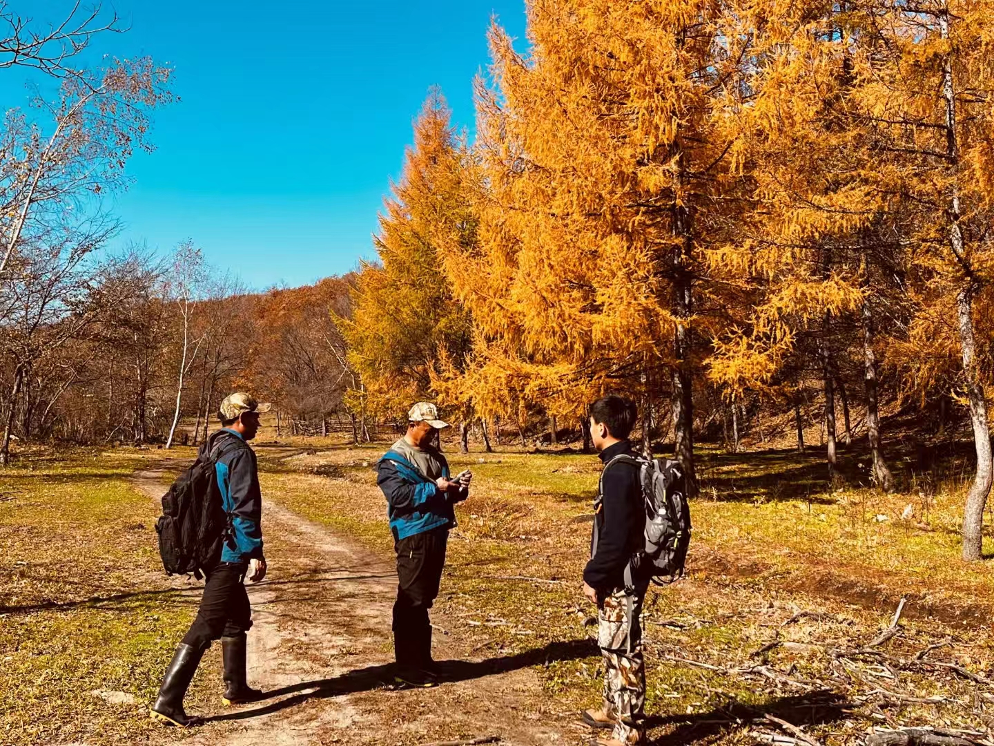 椰树特醇香烟停产，市场价格受多因素影响，你了解吗？