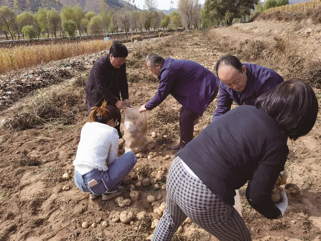 娇子胜利云霄烟进货秘密大揭秘：指定经销商、专卖渠道、分级管理与电子追溯系统