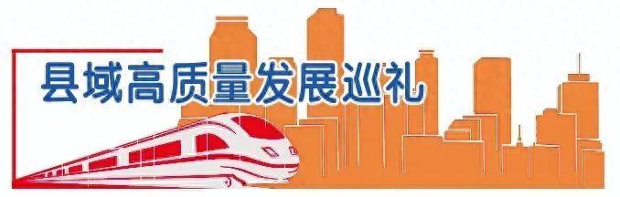 荆门掇刀区：探索三产融合，打造花木长廊，推动花卉苗木产业全产业链发展