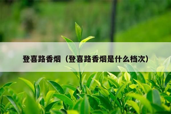登喜路香烟：历史悠久的国际一线品牌，备受全球烟民推崇