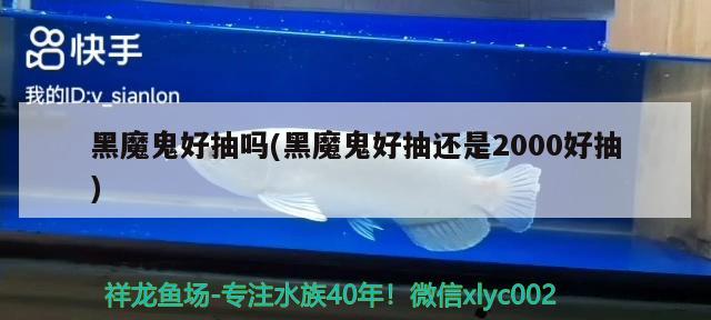 黑魔鬼香烟：口感独特，浓郁香味令人陶醉，但要注意辨别真假