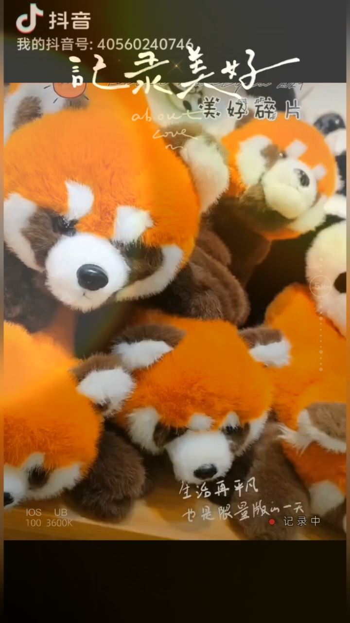 小熊猫烟图片及价格大揭秘，你想知道的都在这里
