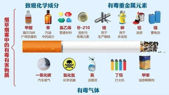 真龙甲天下香烟市场现状、挑战与应对策略分析