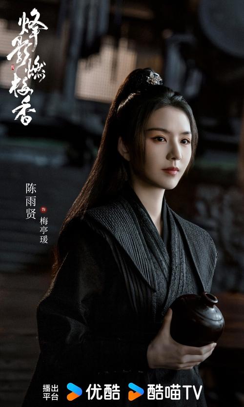 烽影燃梅香原著伪宋杀手日志：精彩剧情与江山香烟的故事